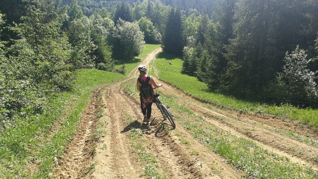 Wokół zalewu w Nowej Bystrzycy